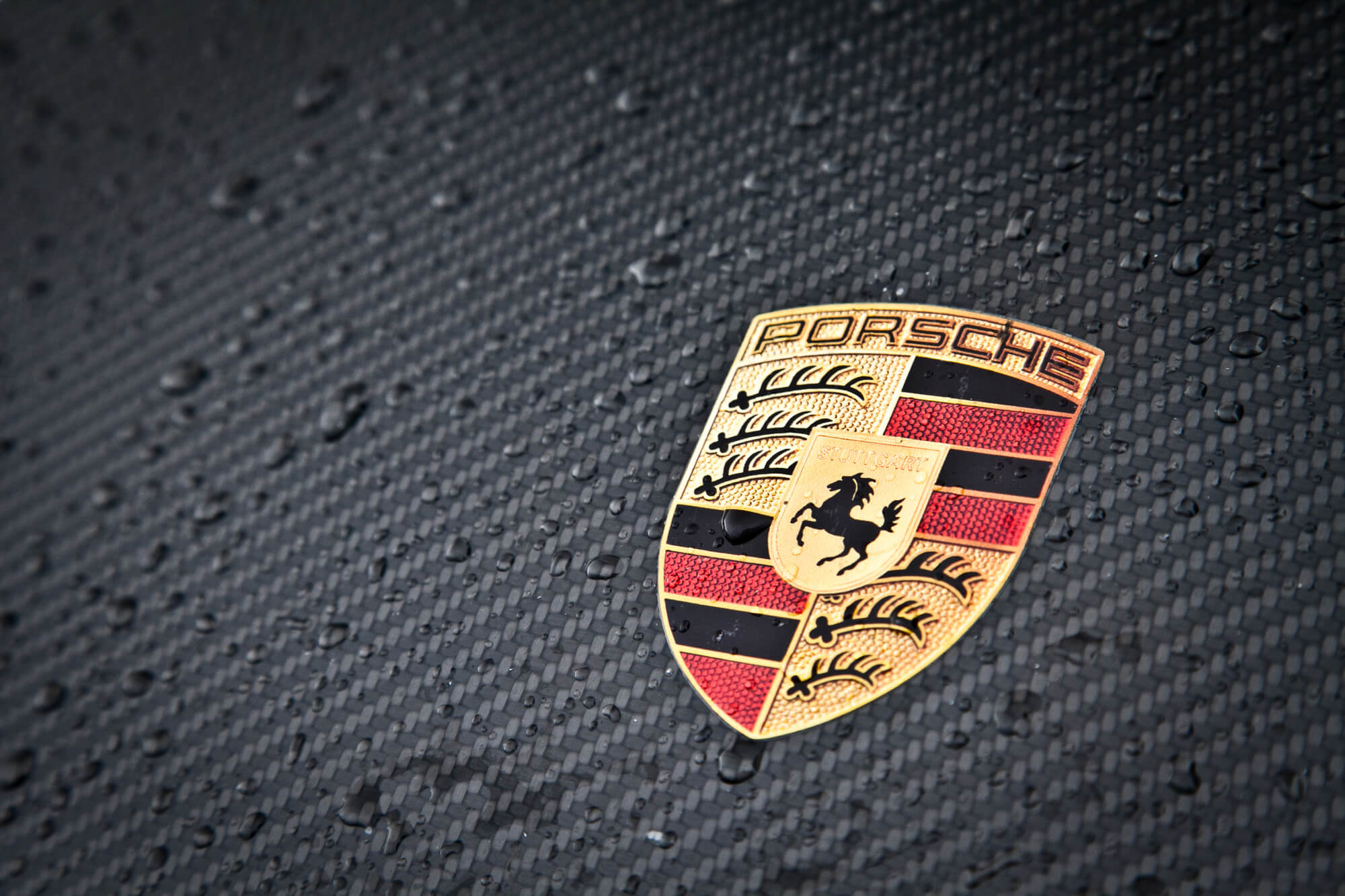Logo of a black luxury car that needs Porsche repair in Davie FL