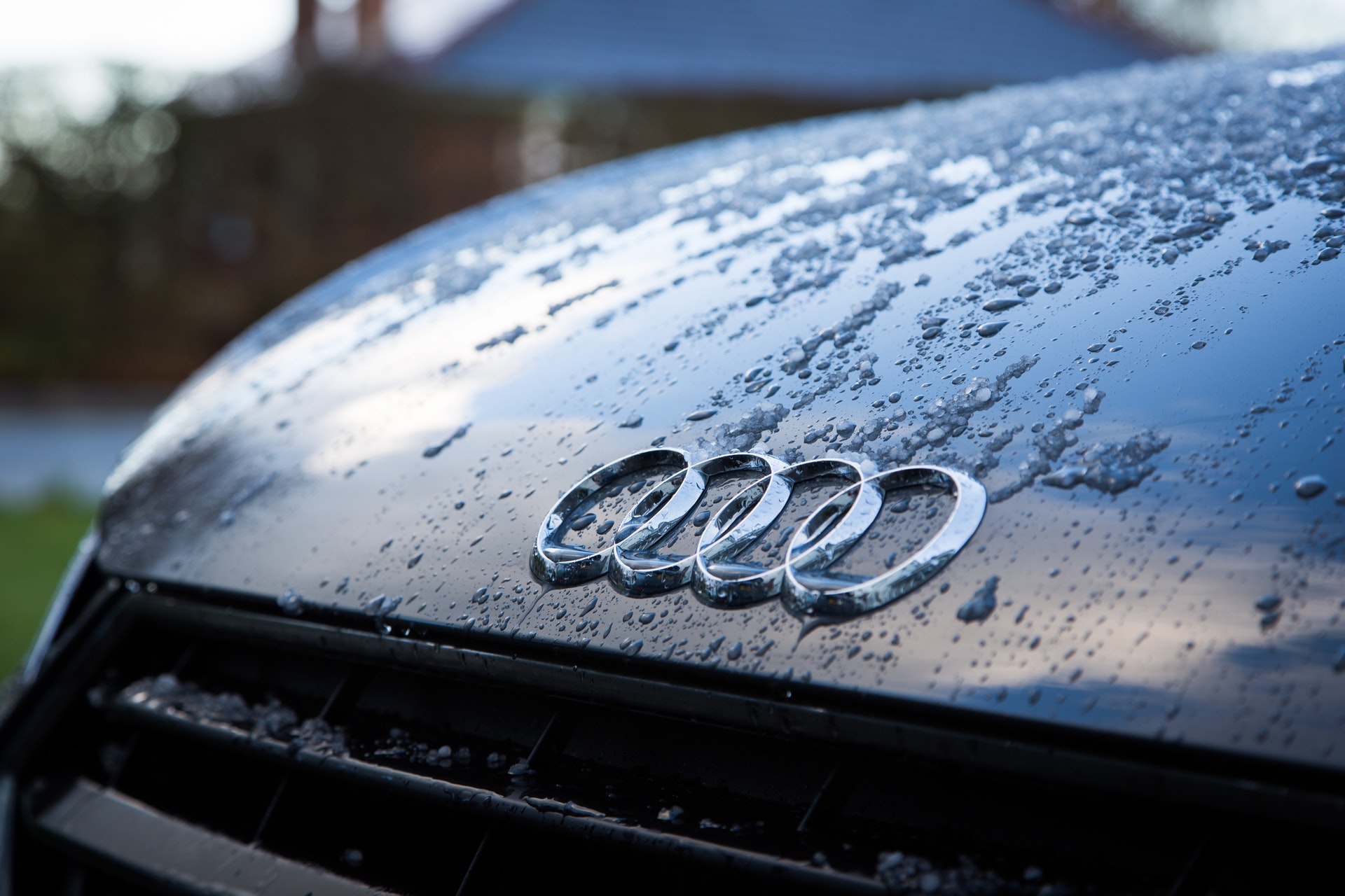 a close-up of a the logo of a luxury car needing Audi Repair in Davie FL
