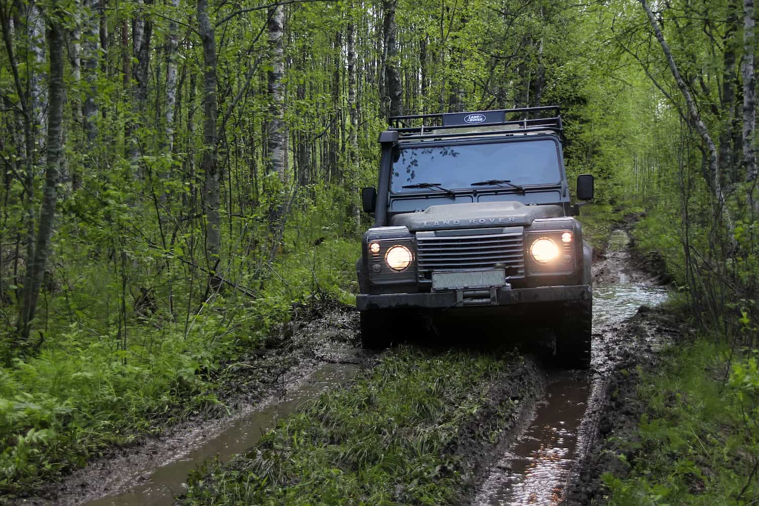 land rover in the forest after repair services in davie fl