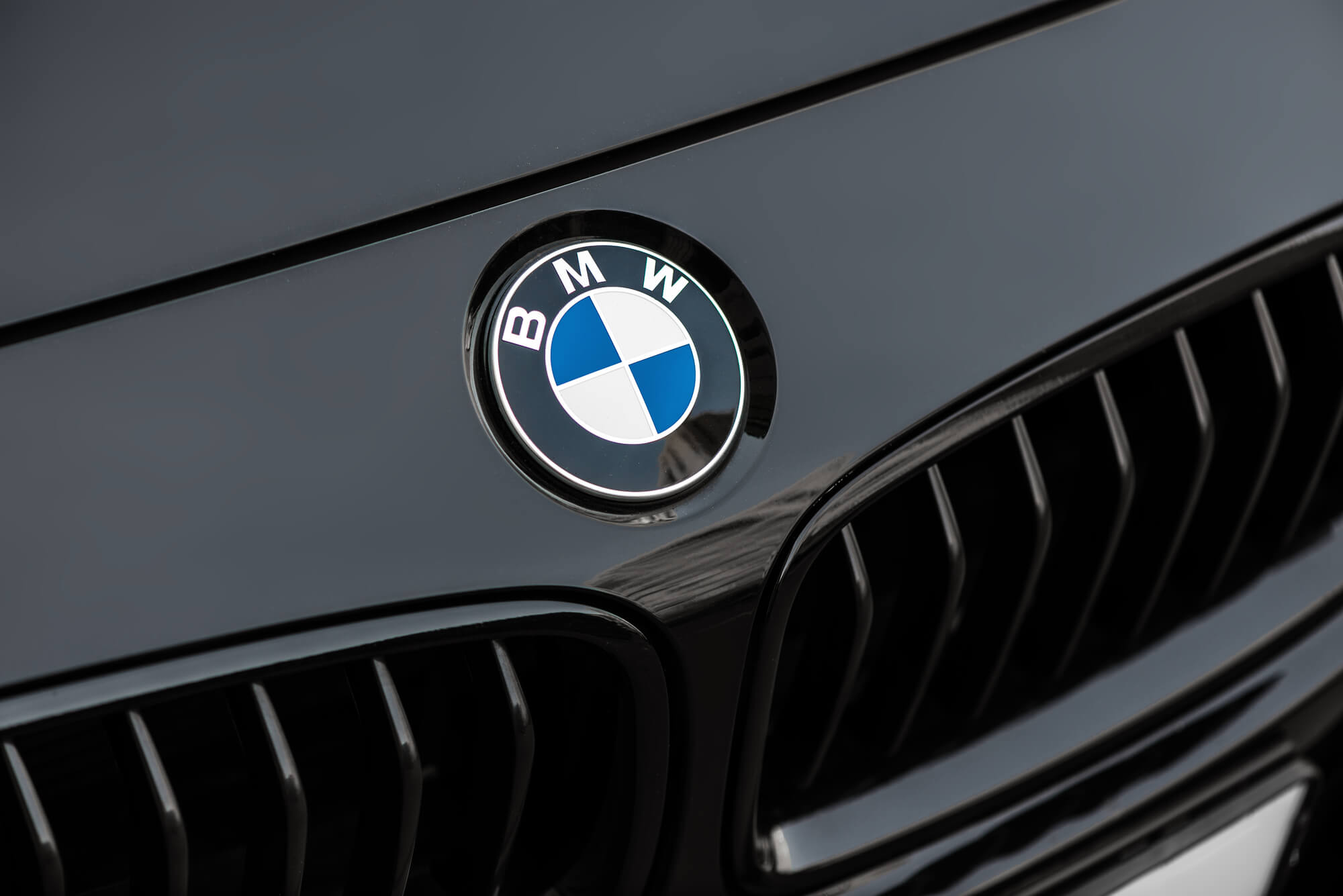 logo-of-a-BMW-in-need-of-BMW-repair-in-Davie-FL